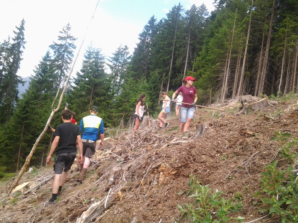 2015-07-11 10_45_06.jpg