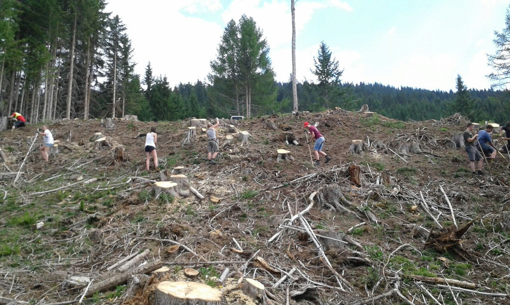 IMG-20150713-WA0009.jpg