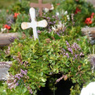 _DSC8133.jpg