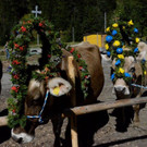 _DSC8207.jpg