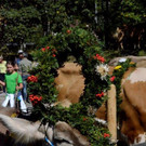 _DSC8210.jpg