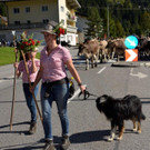 Alpabtrieb Klostertal