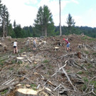 IMG-20150713-WA0009.jpg