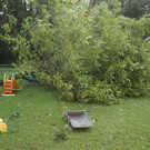 DSC00506.JPG