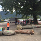 20150913_Trial_003.jpg