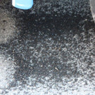 7_ Scania Treffen 12_09_2015 in G__tzis 087.jpg