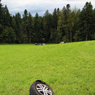 IMG_9982.JPG