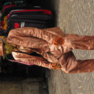 IMG_9726.JPG