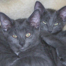 DSCN4453.jpg