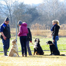 BK_Hundeerziehungskurs Nofels 15.JPG