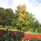 Seniorenausflug der Gemeinde 2015 _30_.JPG