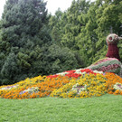 Seniorenausflug der Gemeinde 2015 _36_.JPG