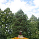 Seniorenausflug der Gemeinde 2015 _39_.JPG