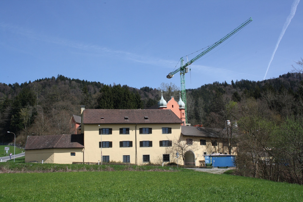 D Schloss Hofen Umbau A 03-04-2015 _4_.JPG