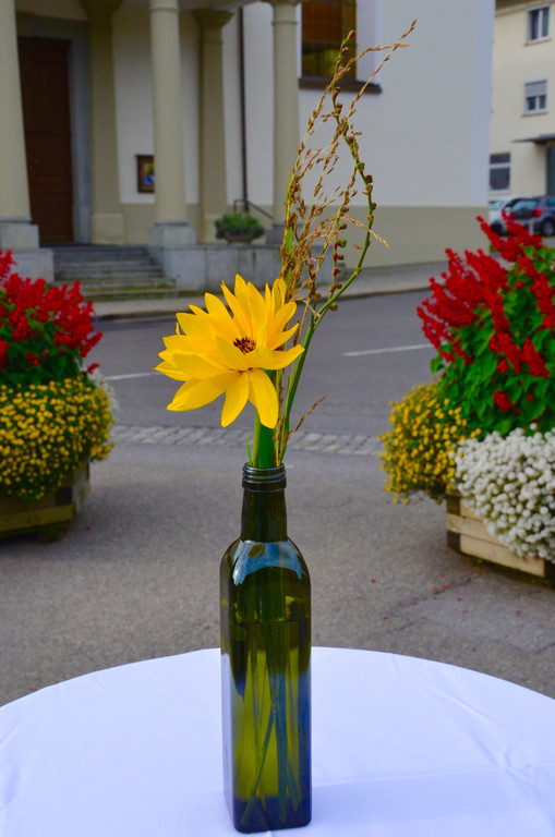 D70_2149.jpg