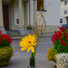 D70_2149.jpg