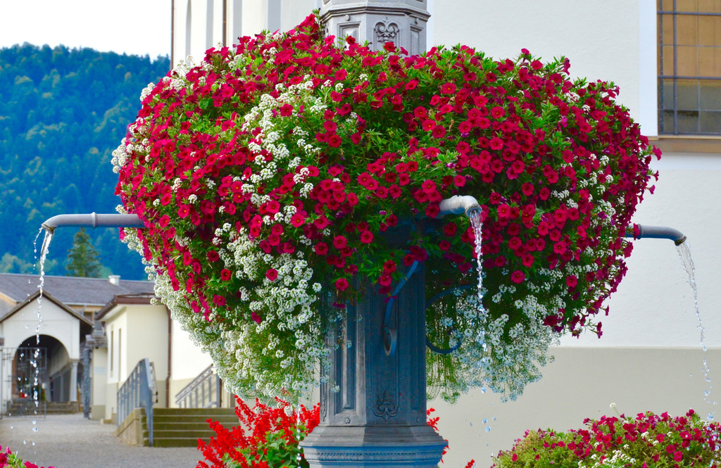 D70_2154.jpg