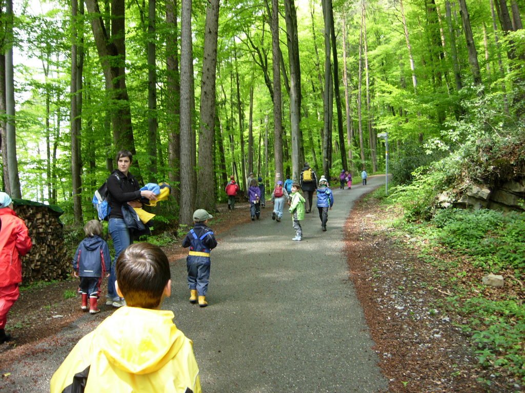 Aufstieg in den Wald_JPG-1275397010