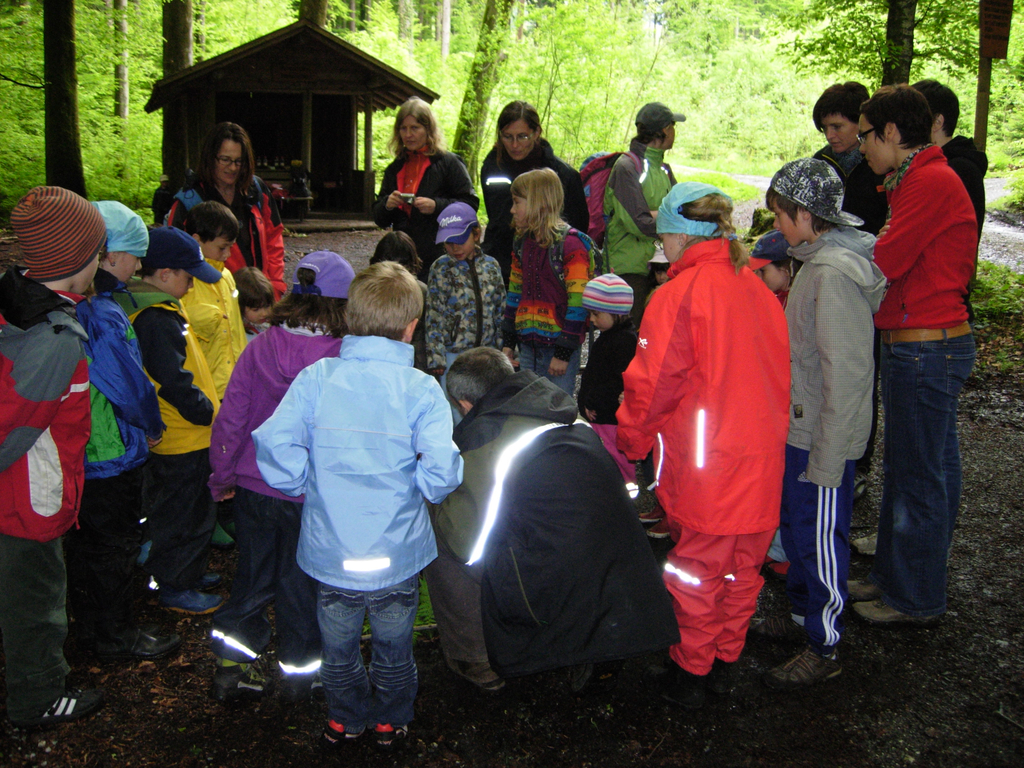 Bildbesprechnung_JPG-1275397111