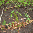 Waldbild 4_JPG-1275397364