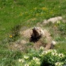 DSCF1060.JPG