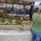 Jonas Markt 2015 _34_.JPG