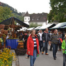 Jonas Markt 2015 _3_.JPG