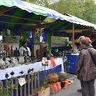 Jonas Markt 2015 _4_.JPG