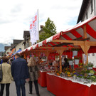 Jonas Markt 2015 _35_.JPG