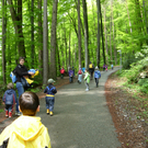 Aufstieg in den Wald_JPG-1275401778