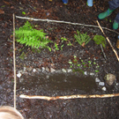 Waldbild 1_JPG-1275401975