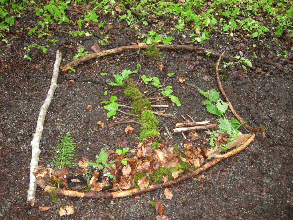Waldbild 4_JPG-1275402072
