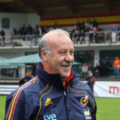 Training Spanier 2 010 079_jpg-1275406343