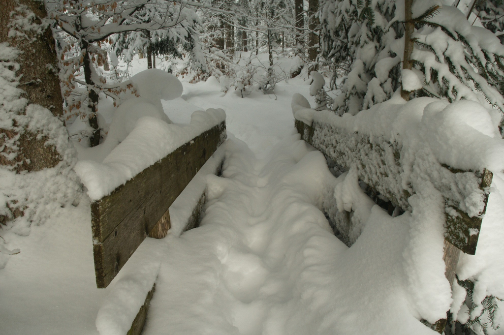 Sibratsgf__ll  Winterwanderung  2010  Br__cke_jpg-1275409062