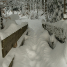 Winterwanderung in Sibratsgfäll 