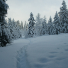 Sibratsgf__ll  Winterwanderung  2010  Schneeweg 2 unber__hrte  Natur_jpg-1275409107