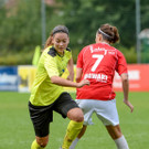 file6mc2w89o5af3p8kgiew.jpg