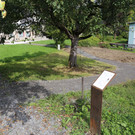 Rundgang durch den bugo-Garten