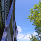 101_8522_jpg-1275428068