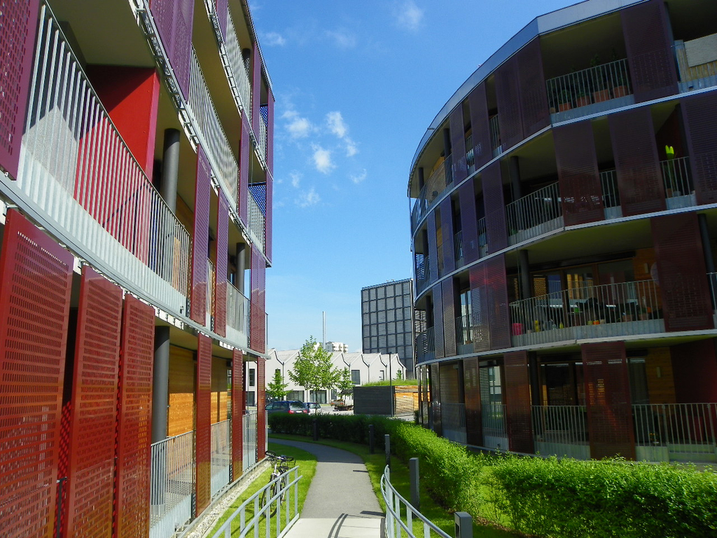 101_8537_jpg-1275428147