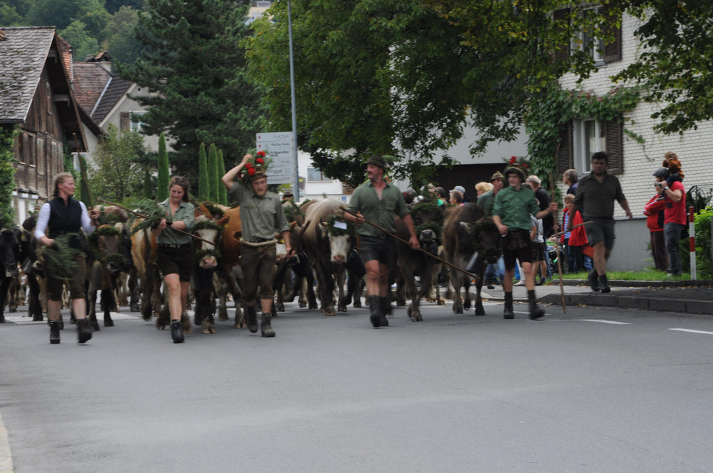 DSC_0095.JPG
