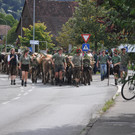 DSC_0105.JPG