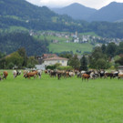 DSC_0223.JPG