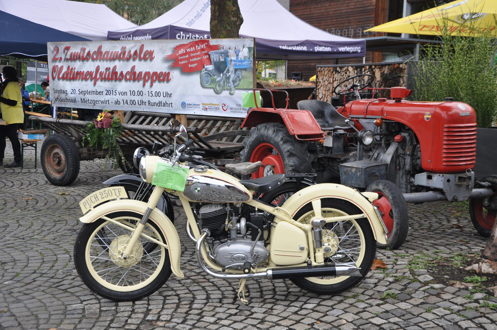 DSC_0124.JPG