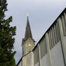 101_8008_jpg-1275434647