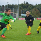 U7 Turnier in Bregenz