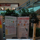 Aktion_Gesundheitsstation_Gesundheitsfoerderung _3_.JPG