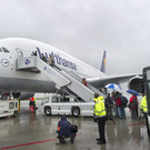 dc1-5uosn8a221417fobe6ue_layout.jpg