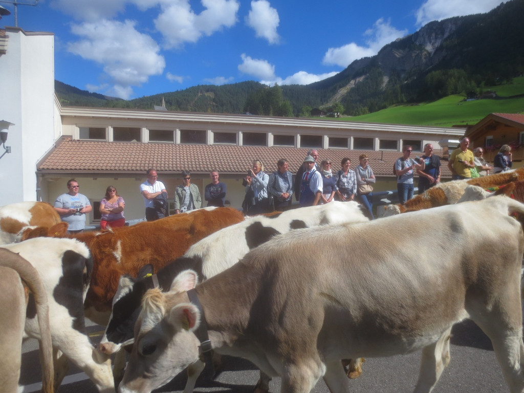 Bierblosn KLAUSEN S__dtirol 19-09-2015 _56_.JPG