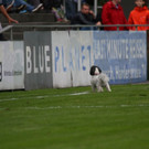 k-IMG_2757.JPG